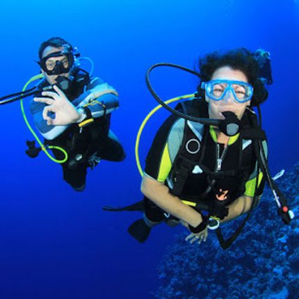 DAY SCUBA DIVING HURGHADA EGYPT RED SEA
